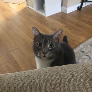 Meet your Posher, Ash